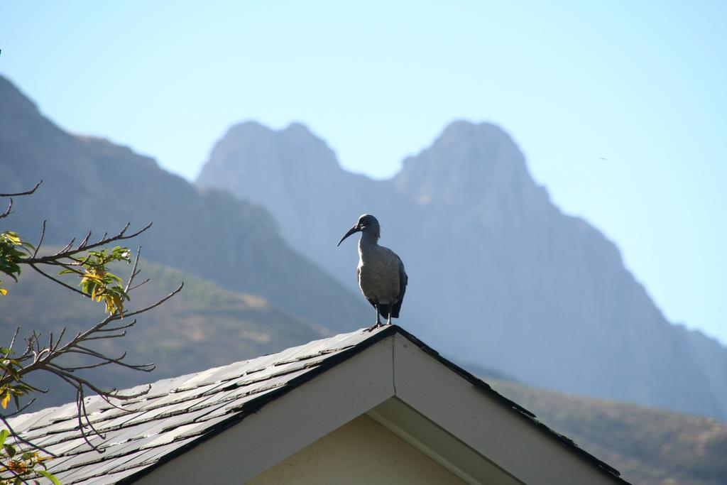 Keren'S Vine Guesthouse Stellenbosch Kültér fotó